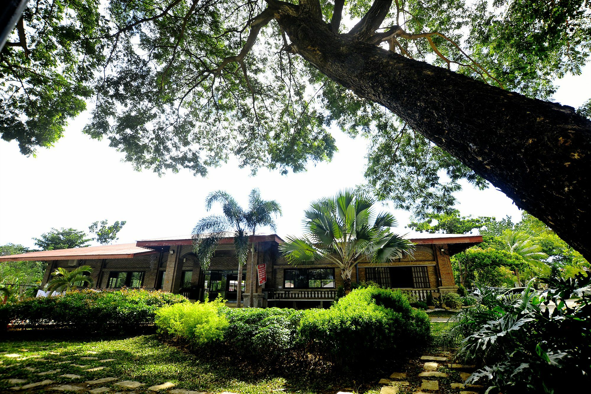 Reddoorz Plus Near Vigan Convention Center Bagian luar foto