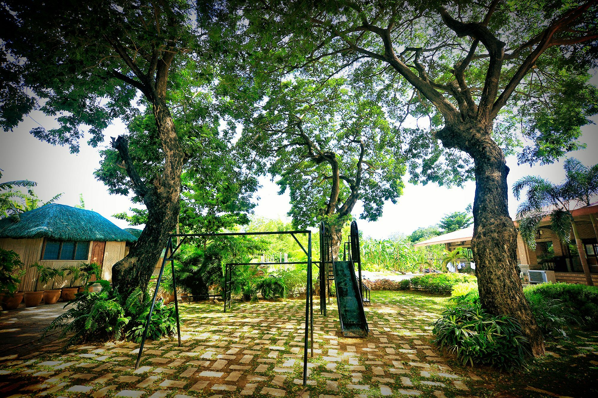 Reddoorz Plus Near Vigan Convention Center Bagian luar foto